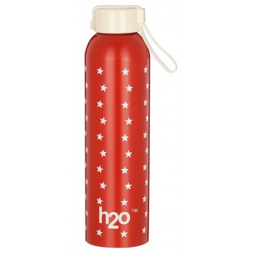 H2O Stainless Steel Water Bottle 650 ML SB151